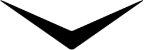 Arrow, bird