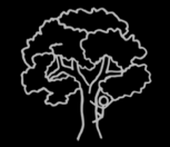 Image for this ActionCard